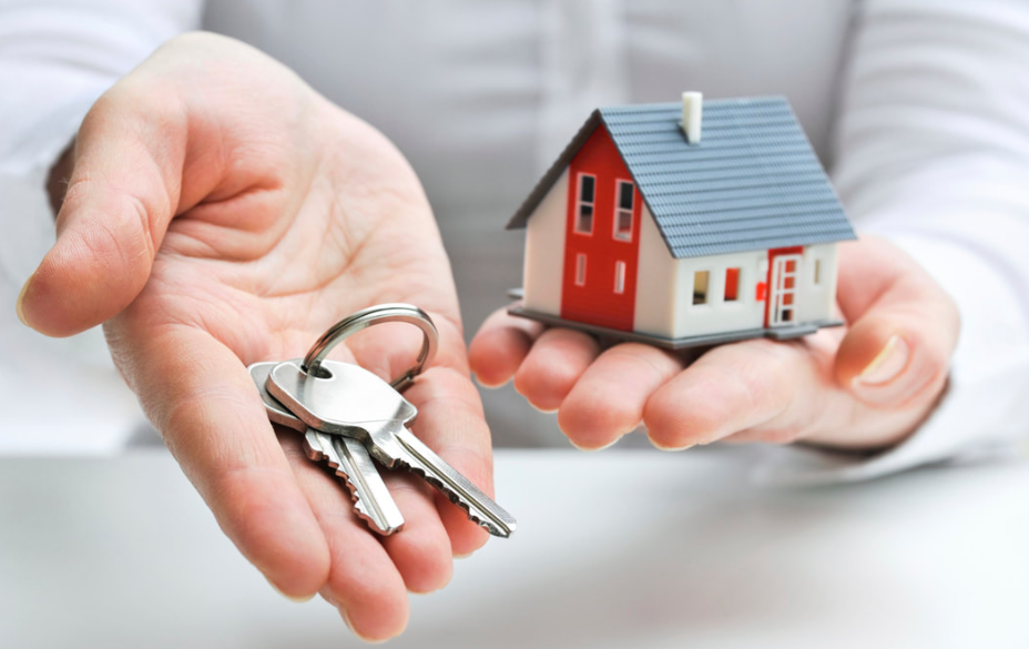 pre-purchase inspection in Christchurch